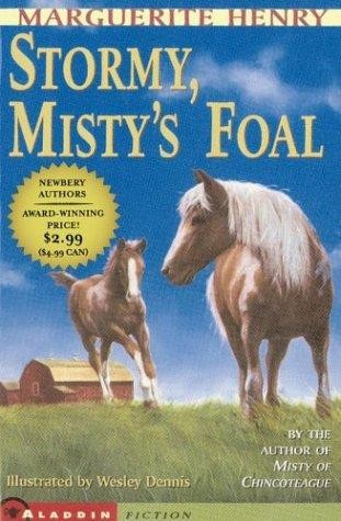 Stormy, Misty's Foal